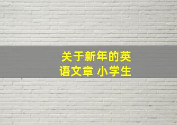 关于新年的英语文章 小学生